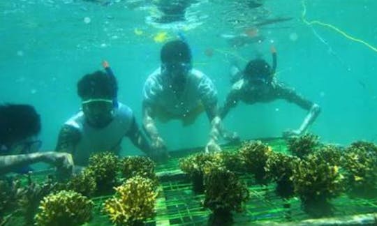 Enjoy Snorkeling in South Denpasar, Bali