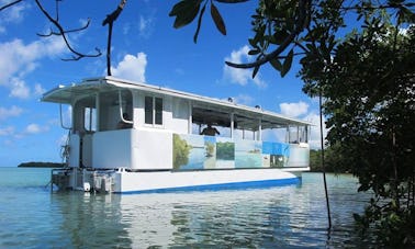 Excursions écologiques « Taonaba » en péniche à Deshaies, Guadeloupe