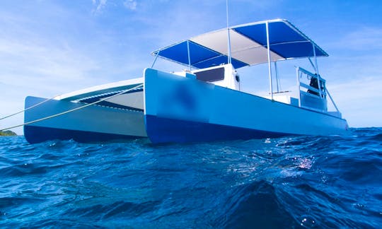 30' Power Catamaran Snorkel Trips in Carriacou, Grenada