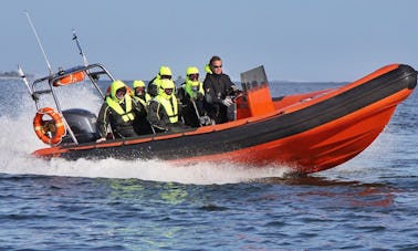 RIB Charter Tours Helsinki, Finlande