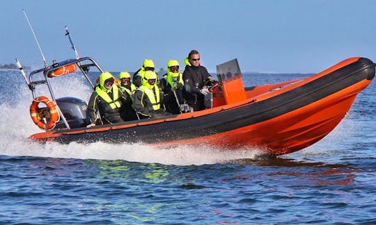 Mid size RIB for up to 8 passengers