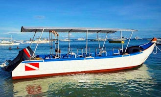 Enjoy Diving in Panglao, Philippines