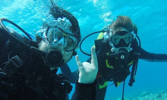 Enjoy Diving Trips and Courses in Grand Baie, Mauritius