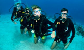Enjoy Diving Trips and Courses in South Cebu, Philippines