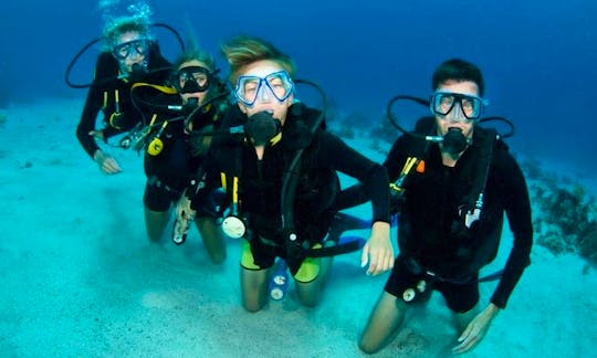 Enjoy Diving Trips and Courses in South Cebu, Philippines