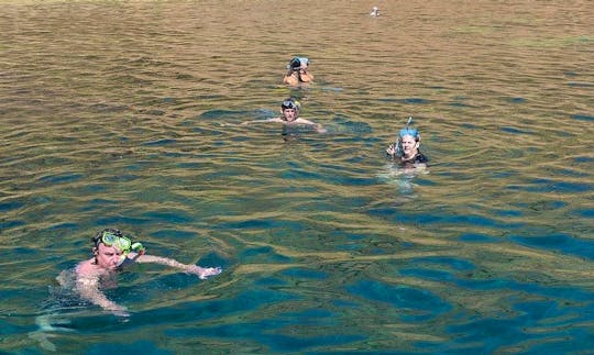Enjoy Snorkeling Tours in Muscat, Oman