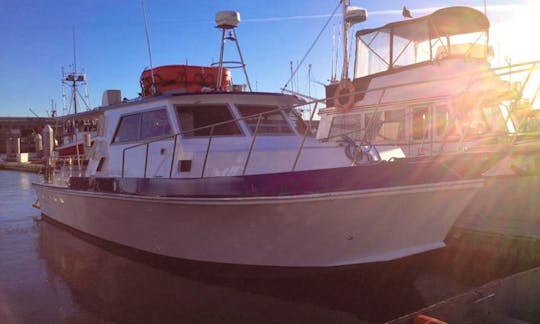 Rent the 38' Delta Fishing Boat in San Francisco (Captained Only)
