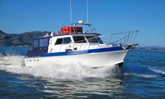 38' Delta Multi Use Boat - Events, Fishing, Whale Watching