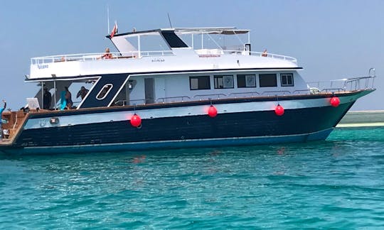Boat Diving Trips in Red Sea Governorate, Egypt