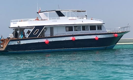 Boat Diving Trips in Red Sea Governorate, Egypt