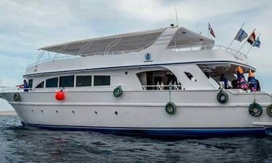 Excursions de plongée en bateau avec les meilleurs instructeurs de plongée dans le gouvernorat du Sinaï Sud, en Égypte