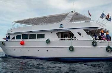 Boat Diving Trips with the best Diving Instructors in South Sinai Governorate, Egypt