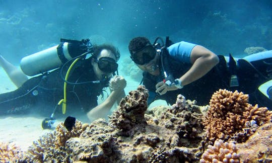 Excursions de plongée en bateau avec les meilleurs instructeurs de plongée dans le gouvernorat du Sinaï Sud, en Égypte