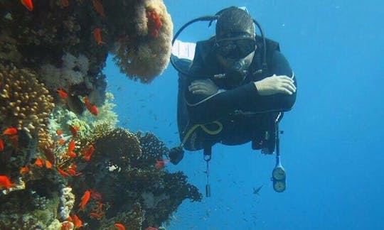 Excursions de plongée en bateau avec les meilleurs instructeurs de plongée dans le gouvernorat du Sinaï Sud, en Égypte