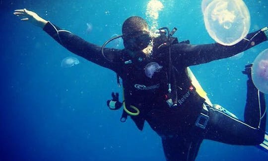 Excursions de plongée en bateau avec les meilleurs instructeurs de plongée dans le gouvernorat du Sinaï Sud, en Égypte