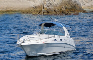 30 ft Seay Ray Motor Boat Rental in Cabo San Lucas