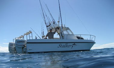 Acción en alta mar, pesca de tigres, lubina o pesca con mosca en KwaZulu-Natal, Sudáfrica