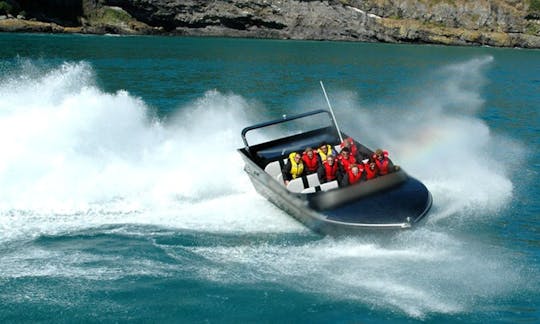 Jet Boat Harbour Tour In Akaroa