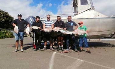 Viagens de pesca e mergulho a bordo do barco “Felix” em Porirua, NZ