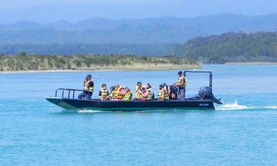 Boat Tour in Franz Josef Glacier in New Zealand