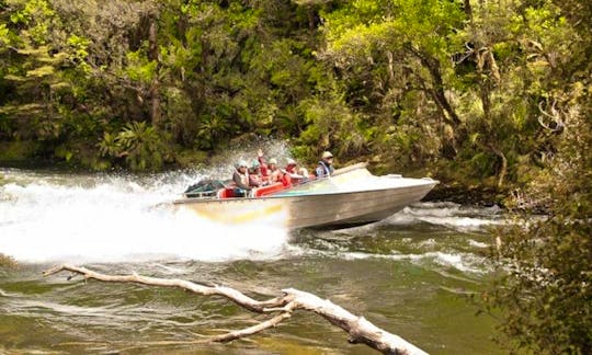Jet Boat Charter in Clifden, New Zealand
