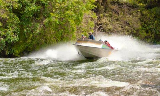 Jet Boat Charter in Clifden, New Zealand