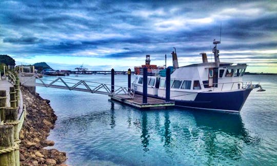 'Bay Explorer' Boat Scenic & Corporate Cruises in Tauranga