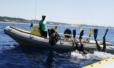 Disfrute de cursos y viajes de buceo en KwaZulu-Natal, Sudáfrica