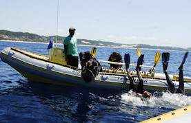 Enjoy Diving Courses and Trips in KwaZulu-Natal, South Africa