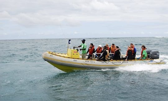 Profitez de cours de plongée et de voyages au KwaZulu-Natal, en Afrique du Sud