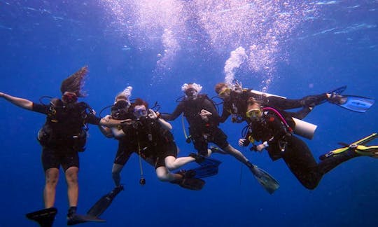 Enjoy Diving Courses in Bunaken, Indonesia