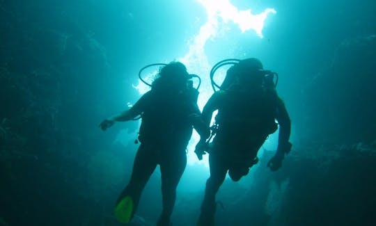 Enjoy Diving Courses and Trips in Gerokgak, Bali