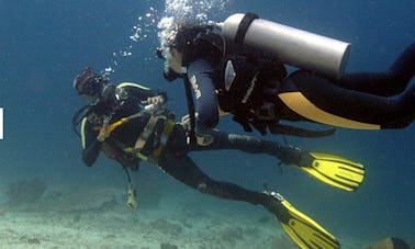 Enjoy Diving Courses and Trips in Gerokgak, Bali