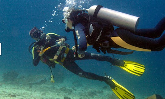 Enjoy Diving Courses and Trips in Gerokgak, Bali