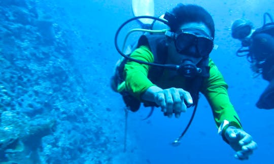 Enjoy Diving Courses in Bonto Bahari, Indonesia