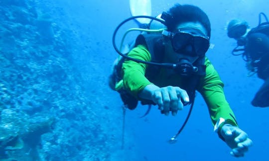 Enjoy Diving Courses in Bonto Bahari, Indonesia