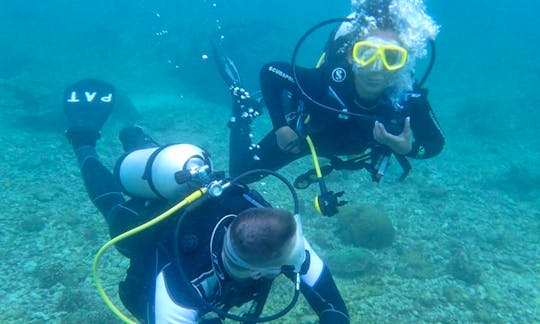 Enjoy Diving Trips in Dalupiri Island, Philippines