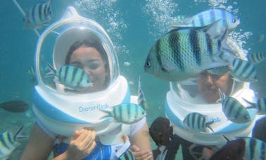 Enjoy Underwater Sea Walking in Denpasar Selatan, Indonesia