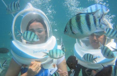 Enjoy Underwater Sea Walking in Denpasar Selatan, Indonesia
