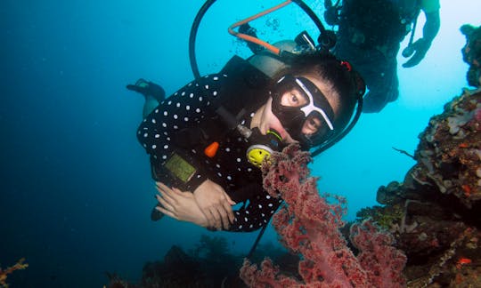 Enjoy Diving Trips and Courses in Lapu-Lapu City, Philippines