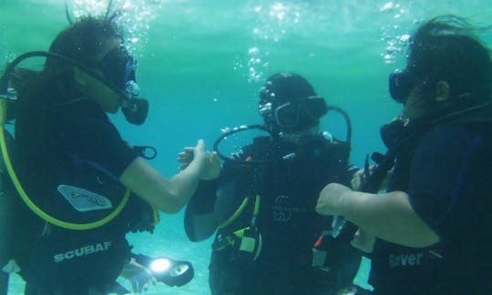 Enjoy Diving in Tambon Ko Tarutao, Thailand