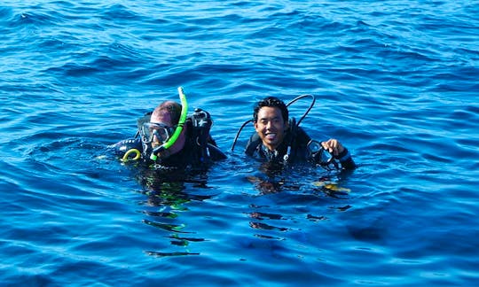 Enjoy Diving Trips in Pemenang, Indonesia