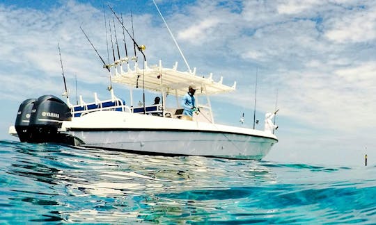 Half Day Trip for fishing in Addu City, Maldives