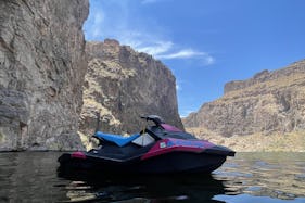 One SEADOO for a Full Day 🐬 (multiple pricing options)