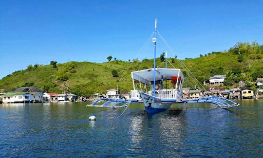 Dolphin Tours in Bais City, Philippines