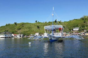 Dolphin Tours in Bais City, Philippines