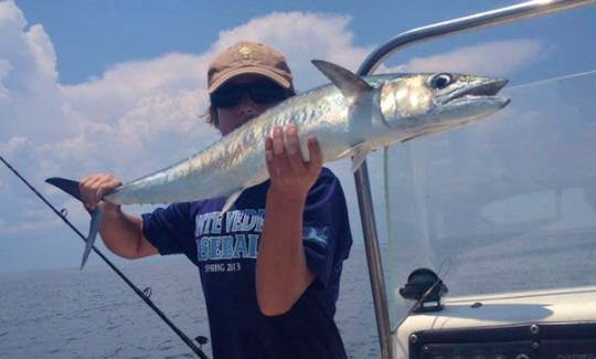 Wide Open Fishing Charters and Dolphin Tours