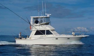 Fishing Charter On 30ft "Tiger" Chris Craft Sportfisher Yacht In Mombasa, Kenya