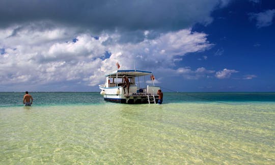 Charter a Cuddy Cabin in George Town, Cayman Islands