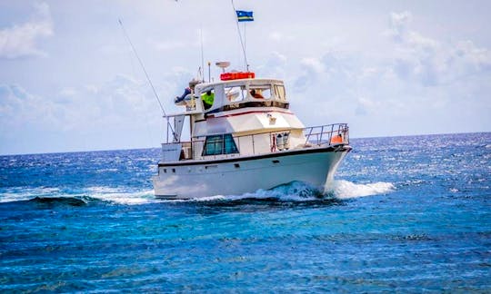 Charter a Motor Yacht in Willemstad, Curacao